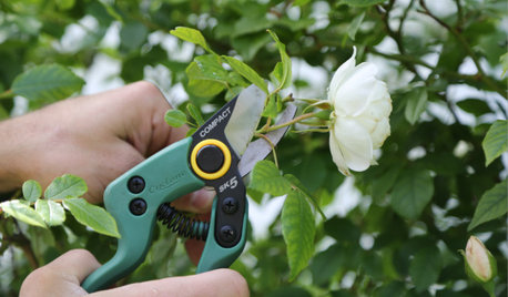 How Do I... Care for My Garden in the Colder Months?