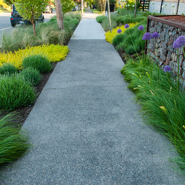 Seattle Hilltop