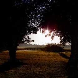 Fine Art Decor_Landscape - Artwork
