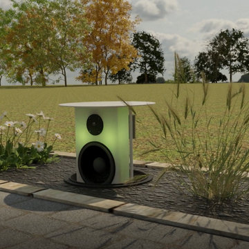 Invivo Speaker Install