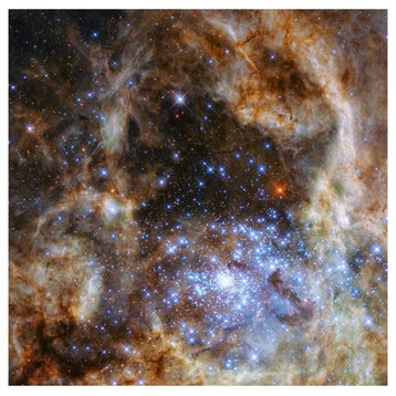 "Star Cluster R136" Digital Paper Print by NASA, 26"x26"
