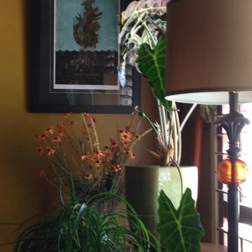 Organized projects 2015