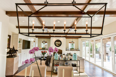 Living room - transitional living room idea in Orange County
