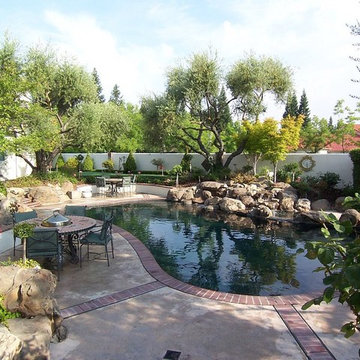 Backyard & Pool