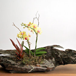 Living Sculptures - Products