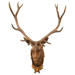 Trophy Stag Head Wall Mount - Rustic - Wall Sculptures - by Lodgeandcabins