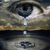 Dawn Donner's photo