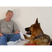 Ken Forti's photo