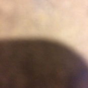 Houzz-ID: 687222s foto