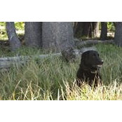 Chrissy Loewecke's photo