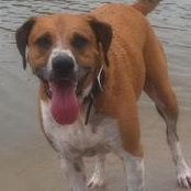 Jerry Walker Jr.'s photo