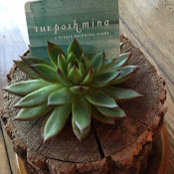 Debbie Burgam's photo