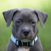 John Nosofik's photo