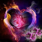 Kim Shipp's photo