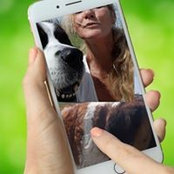 Pamela Christopher's photo