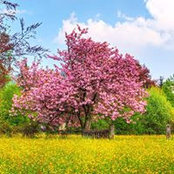 ,Наталья Елагина's photo
