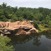 Foto von Sarah Smith Adkins