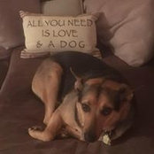 Kate Kadera's photo