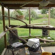 Pet Enclosures