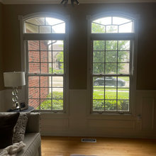 Looking for some options/ideas for these two windows in the front of my