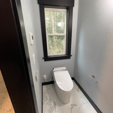 Master Bath upgrade