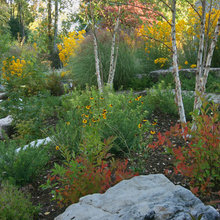 Fern Lake
