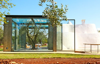 Il Trullo a Ostuni con un Ulivo Sotto Vetro