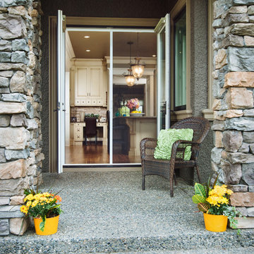 Phantom Door Screens