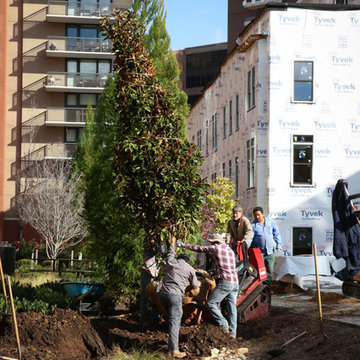 Greening the urban jungle