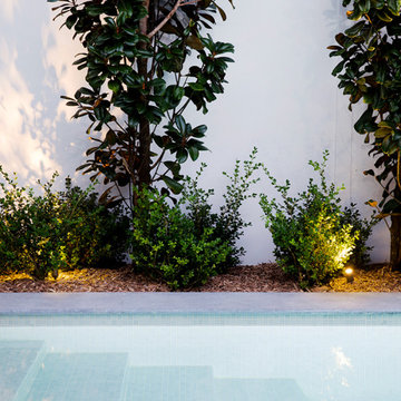 Front Yard and Backyard Upgrade in Sherman Oaks CA