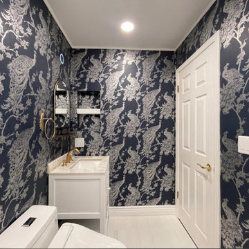 Danville Guest Bathroom remodel