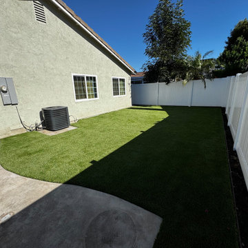 After Picture