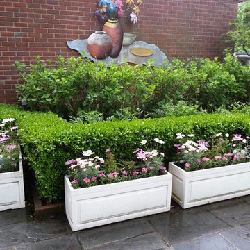 Container Gardens