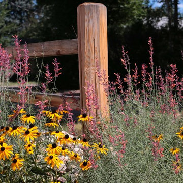 High Desert Plantings