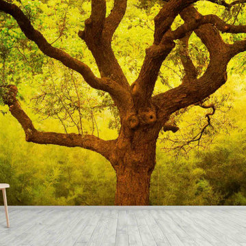 Tree of Life Cantigney Park II