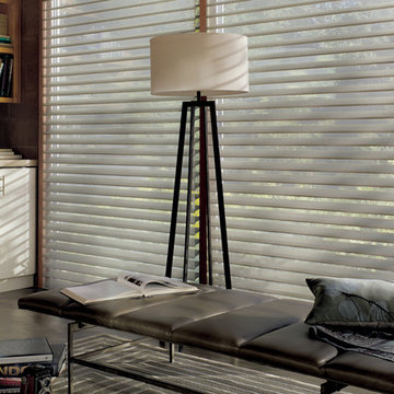 Window Sheers and Shadings