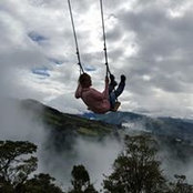 Ann Maskill's photo