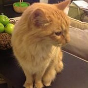 Cyndi Hicks's photo
