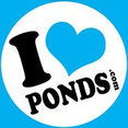 I love ponds.com's profile photo