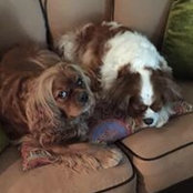 Matthew Whitesides's photo