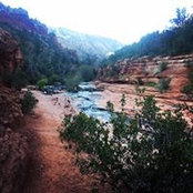 Aaron Shaw's photo