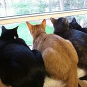 Judy Poole's photo