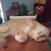 Angie Terry's photo