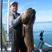 Dave Bierschied's photo