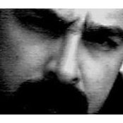 Michael Shapiros billede