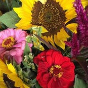 Ginny Vandoorn-Kurth's photo