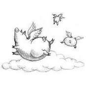 Edie Nichols's photo