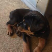 Maureen Dobbyn-Jacobsen's photo