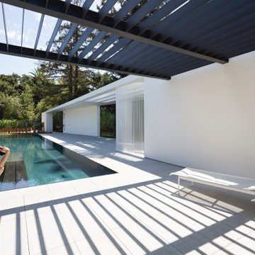 The Flying V - pool house