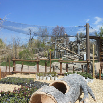 Denver Zoo - Handrails (2012)